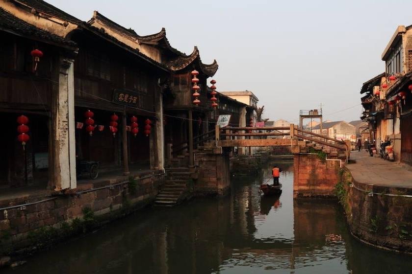 动物帮帮忙保卫家园